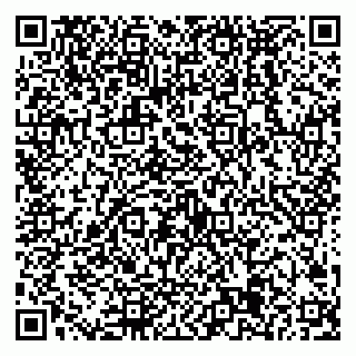 vCard 79538285396