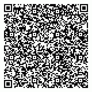 vCard 79538285401