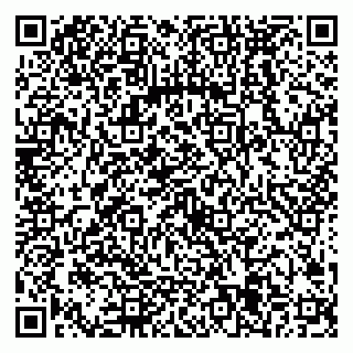 vCard 79538285403