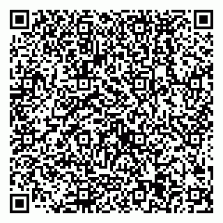 vCard 79538285410