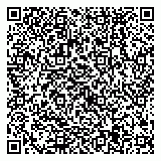 vCard 79538285411
