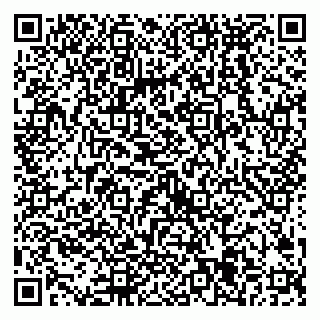 vCard 79538285413