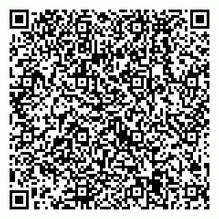 vCard 79538285415