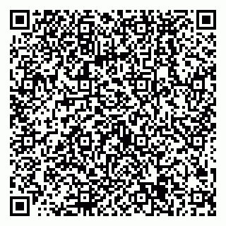 vCard 79538285417