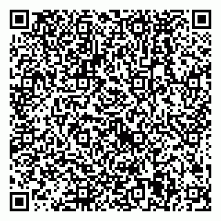 vCard 79538285838