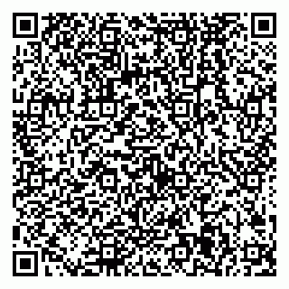 vCard 79538285862