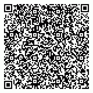 vCard 79538286013