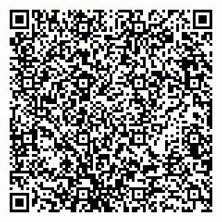 vCard 79538287047