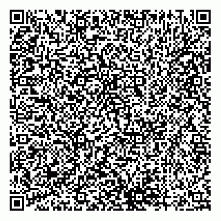 vCard 79538287049