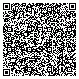vCard 79538287073