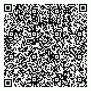 vCard 79538287087