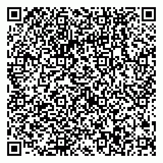 vCard 79538287111