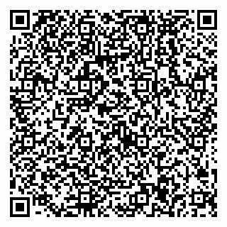 vCard 79538287200