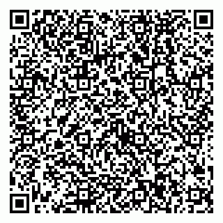 vCard 79538287933