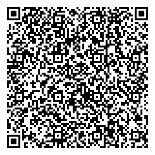 vCard 79538287935