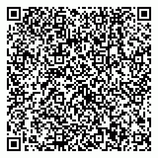 vCard 79538287938