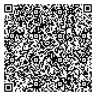 vCard 79538287947