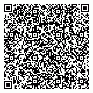 vCard 79538287949