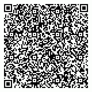 vCard 79538287952