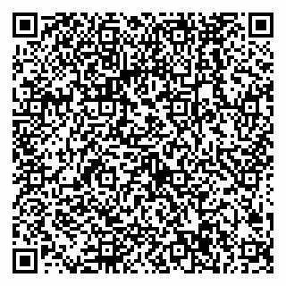 vCard 79538287967