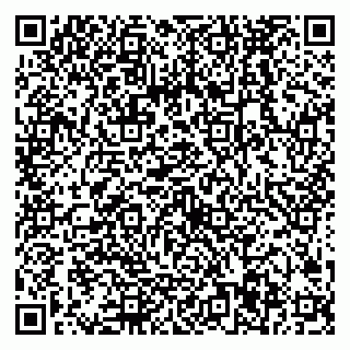 vCard 79538287969