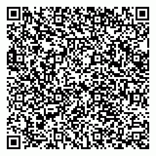 vCard 79538287970