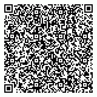vCard 79538287974