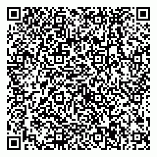 vCard 79538287975