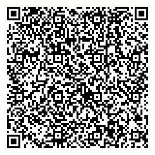 vCard 79538287980