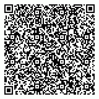 vCard 79538287981