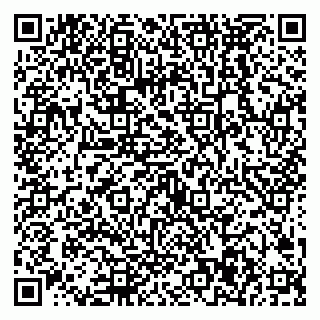 vCard 79538287982