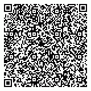 vCard 79538287983
