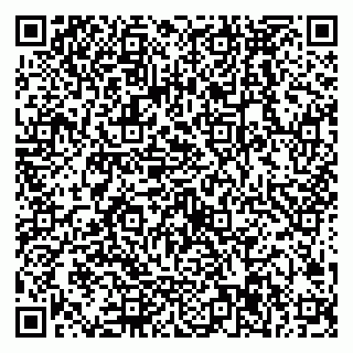 vCard 79538287985