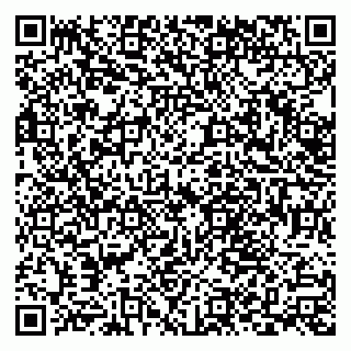 vCard 79538287987