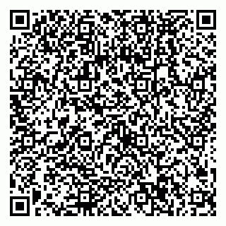 vCard 79538287997