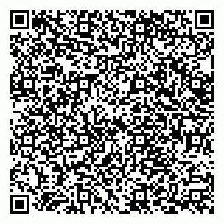 vCard 79538287998