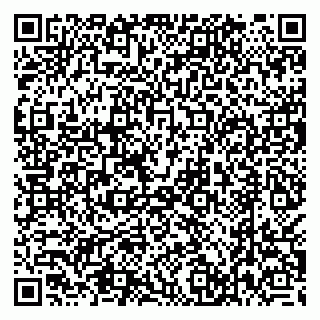vCard 79538287999