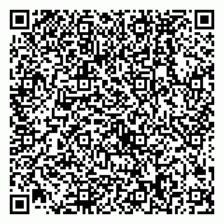 vCard 79538288001