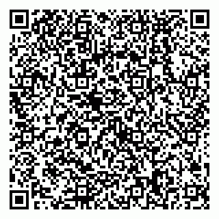 vCard 79538288011