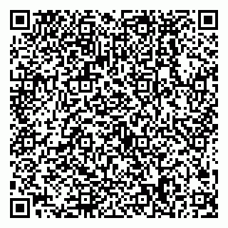 vCard 79538288013