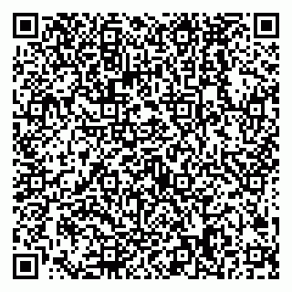 vCard 79538288023