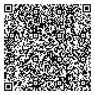 vCard 79538288037