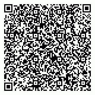 vCard 79538288178