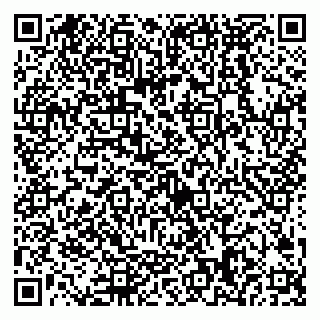 vCard 79538288192