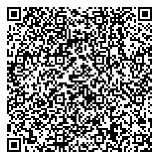 vCard 79538289152
