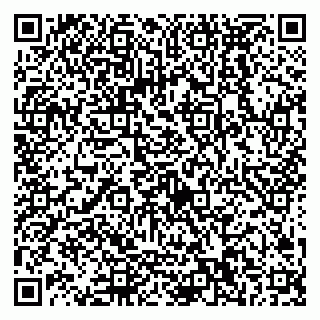vCard 79538290487