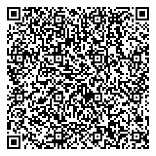 vCard 79538290490