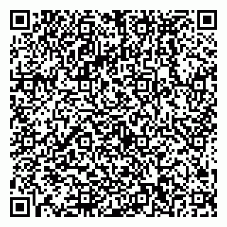 vCard 79538290701