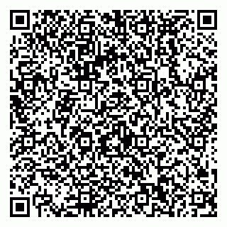 vCard 79538290704