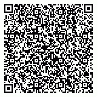 vCard 79538290735